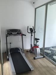 Bliss Loft (D12), Apartment #90338842